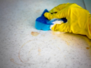 Stain Removal Services