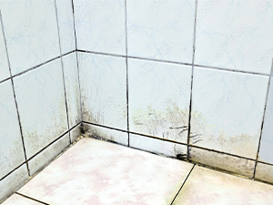 Moldy-Shower-Wall