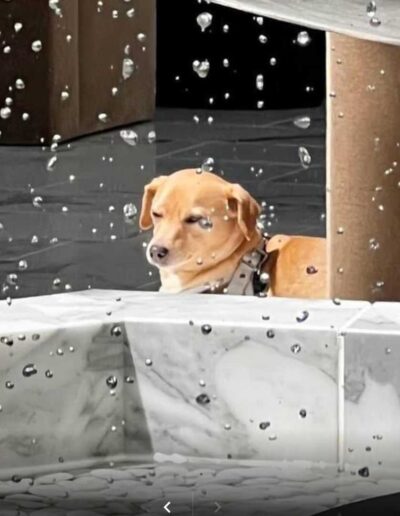 marble fountain cleaning michigan