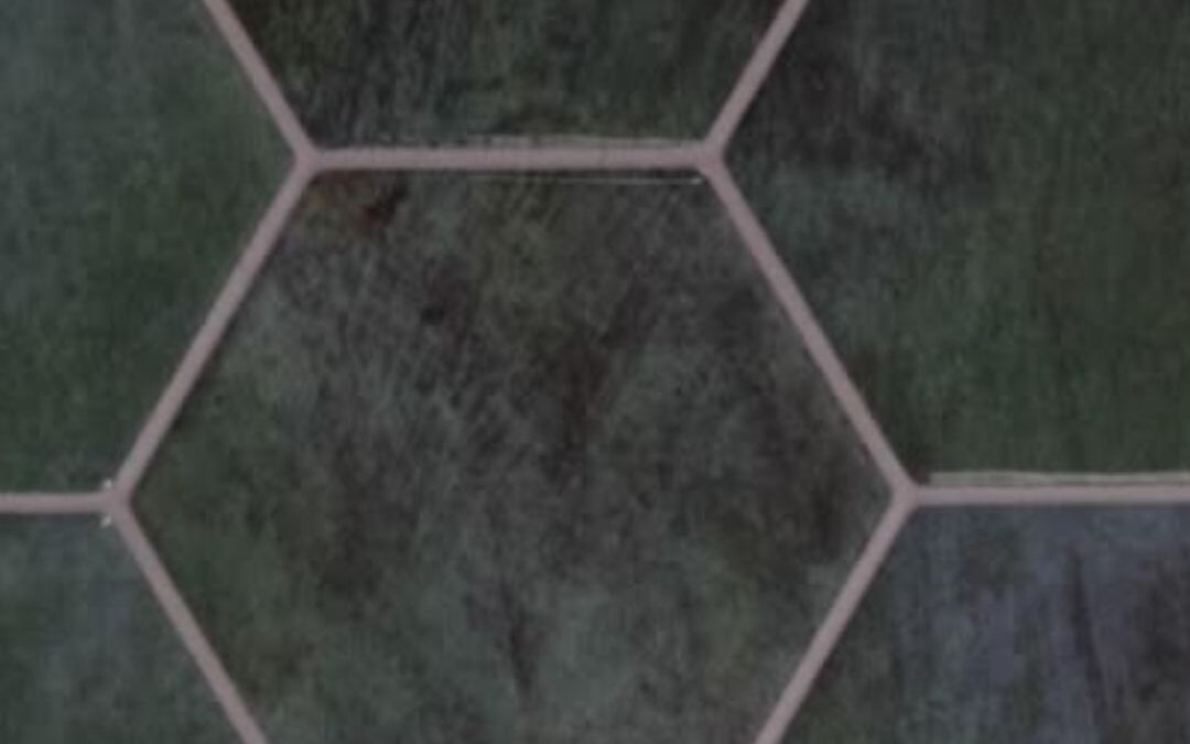 Tile & Grout Cleaning Sealing Michigan Detroit