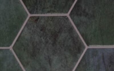 Tired of Dingy Tile & Grout? Here’s How Our Professionals Solve the Problems You’ve Tried Everything For